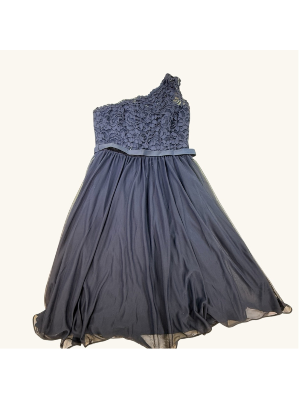 David’s Bridal One Shoulder Navy Lace Chiffon Formal Dress Women’s Size 4